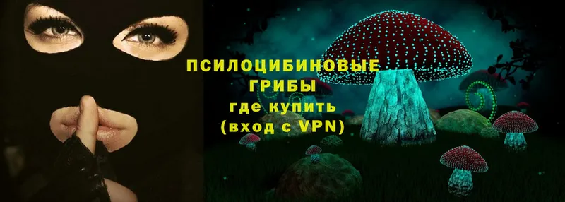 Виды наркоты Петропавловск-Камчатский COCAIN  А ПВП  ОМГ ОМГ   ГАШИШ  Бошки Шишки 